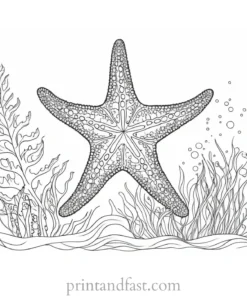 starfish coloring page with seaweed