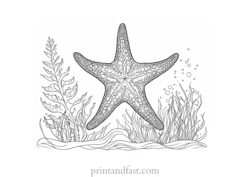 starfish coloring page with seaweed