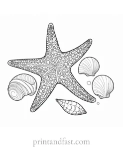 starfish coloring page with shells