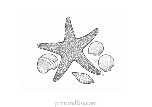 starfish coloring page with shells