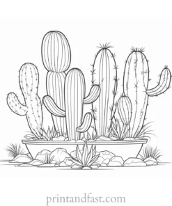 summer Cactus Coloring Page