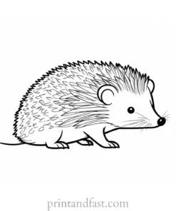 summer hedgehog coloring page