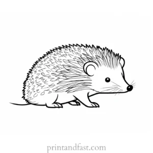 summer hedgehog coloring page