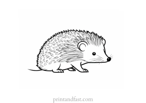 summer hedgehog coloring page