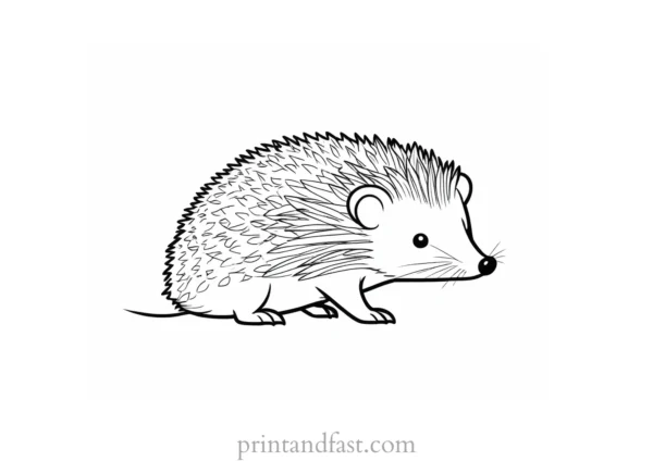 summer hedgehog coloring page