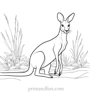 summer kangaroo coloring page