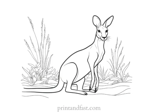 summer kangaroo coloring page