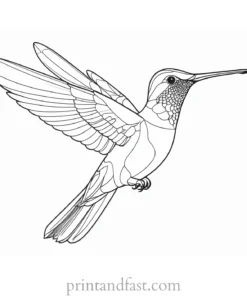 tropical Hummingbird Coloring Page