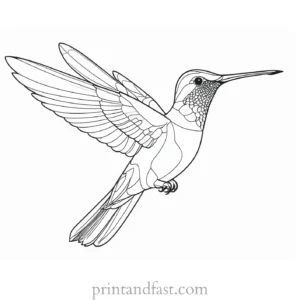 tropical Hummingbird Coloring Page