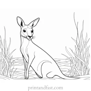 underwater kangaroo coloring page