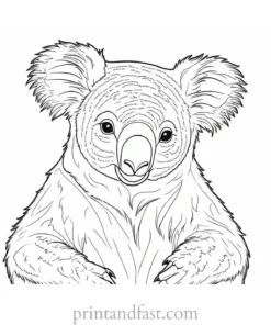 unique Koala Coloring Page