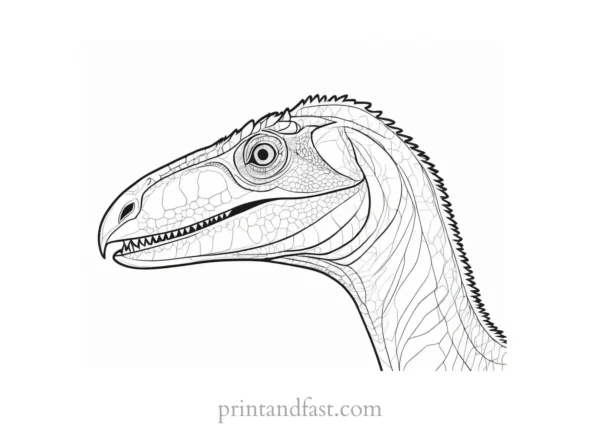 velociraptor coloring page head