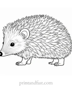 whimsical hedgehog coloring page