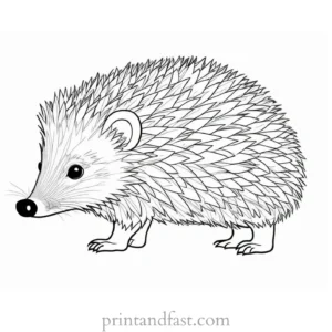 whimsical hedgehog coloring page