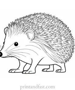 winter hedgehog coloring page