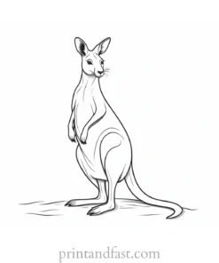 winter kangaroo coloring page