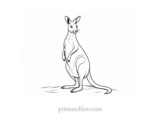 winter kangaroo coloring page