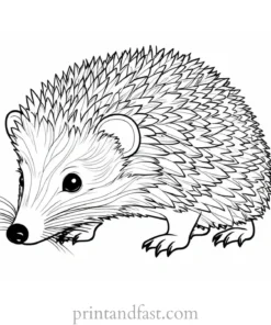 zen hedgehog coloring page