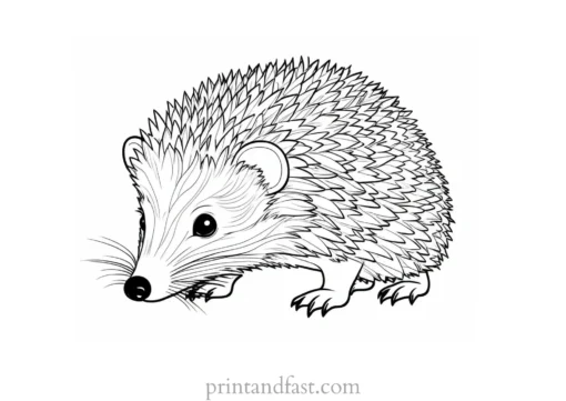 zen hedgehog coloring page